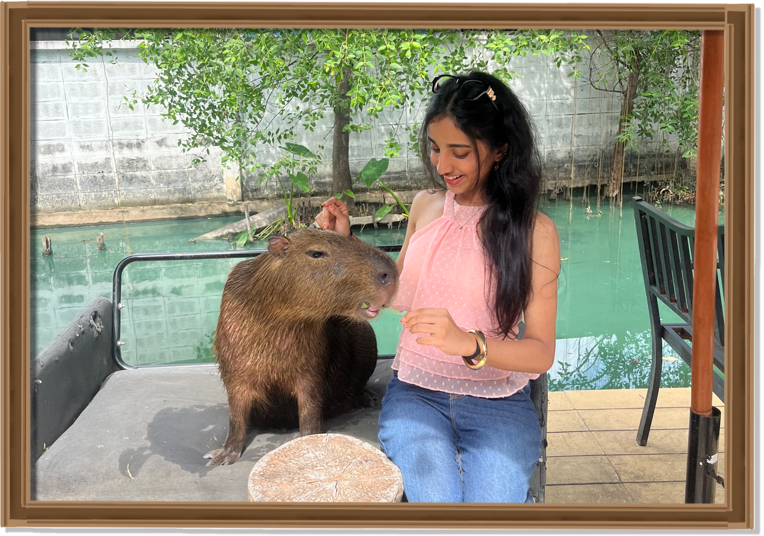 capybara2